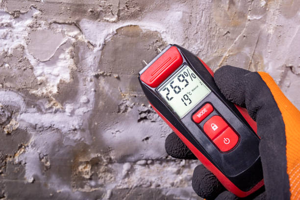 Best Mold Damage Repair  in Northgate, OH